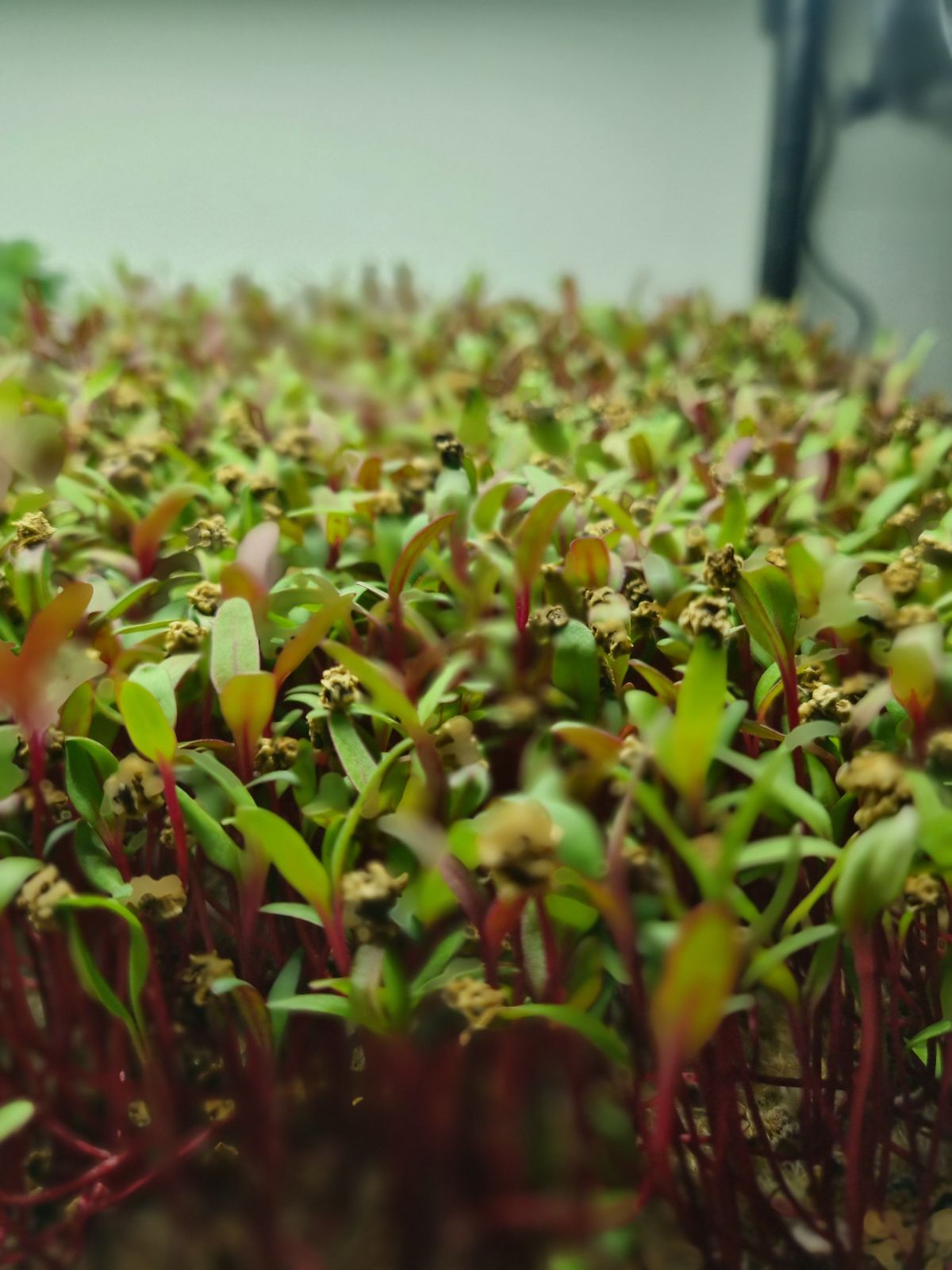 20230806_130922-sx5nd-9uat4m